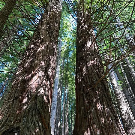 Holiday home El Balcon De Oyambre - Vistas Al Mar Y Montana *