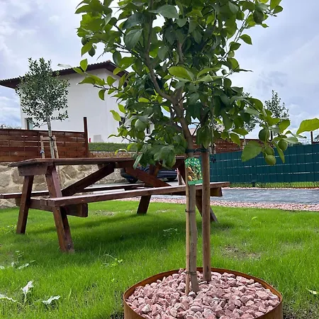 El Balcon De Oyambre - Vistas Al Mar Y Montana Canales (Cantabria)