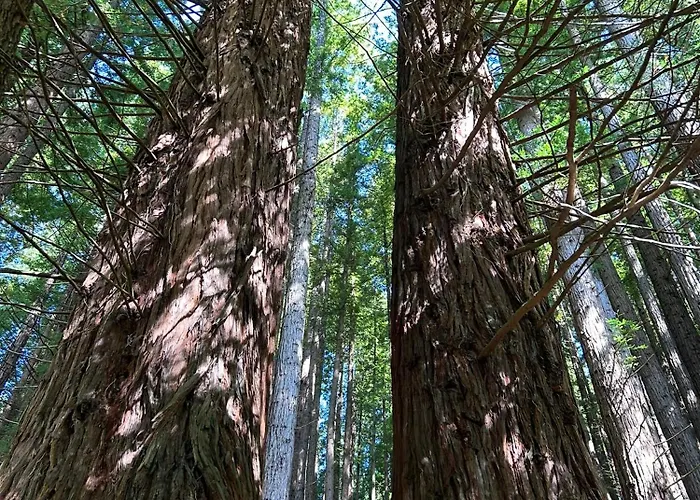 Hébergement de vacances El Balcon De Oyambre - Vistas Al Mar Y Montana *