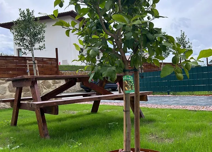 El Balcon De Oyambre - Vistas Al Mar Y Montana Canales (Cantabria)