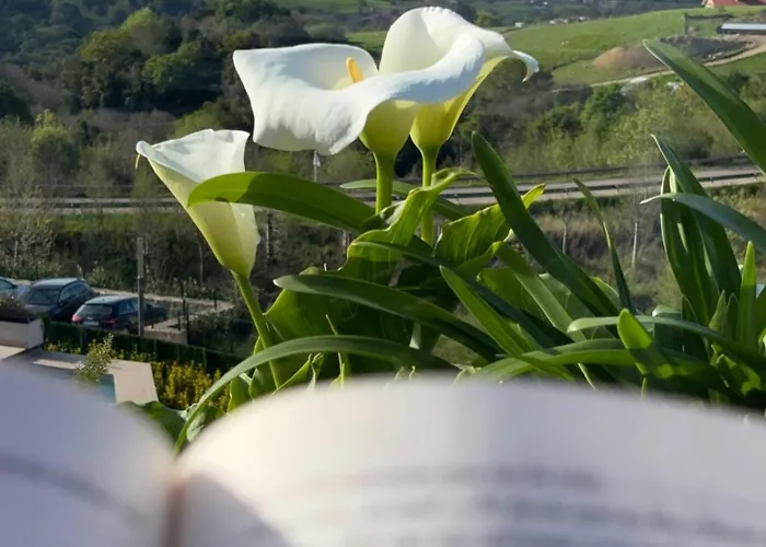 El Balcon De Oyambre - Vistas Al Mar Y Montana Hébergement de vacances Canales (Cantabria)